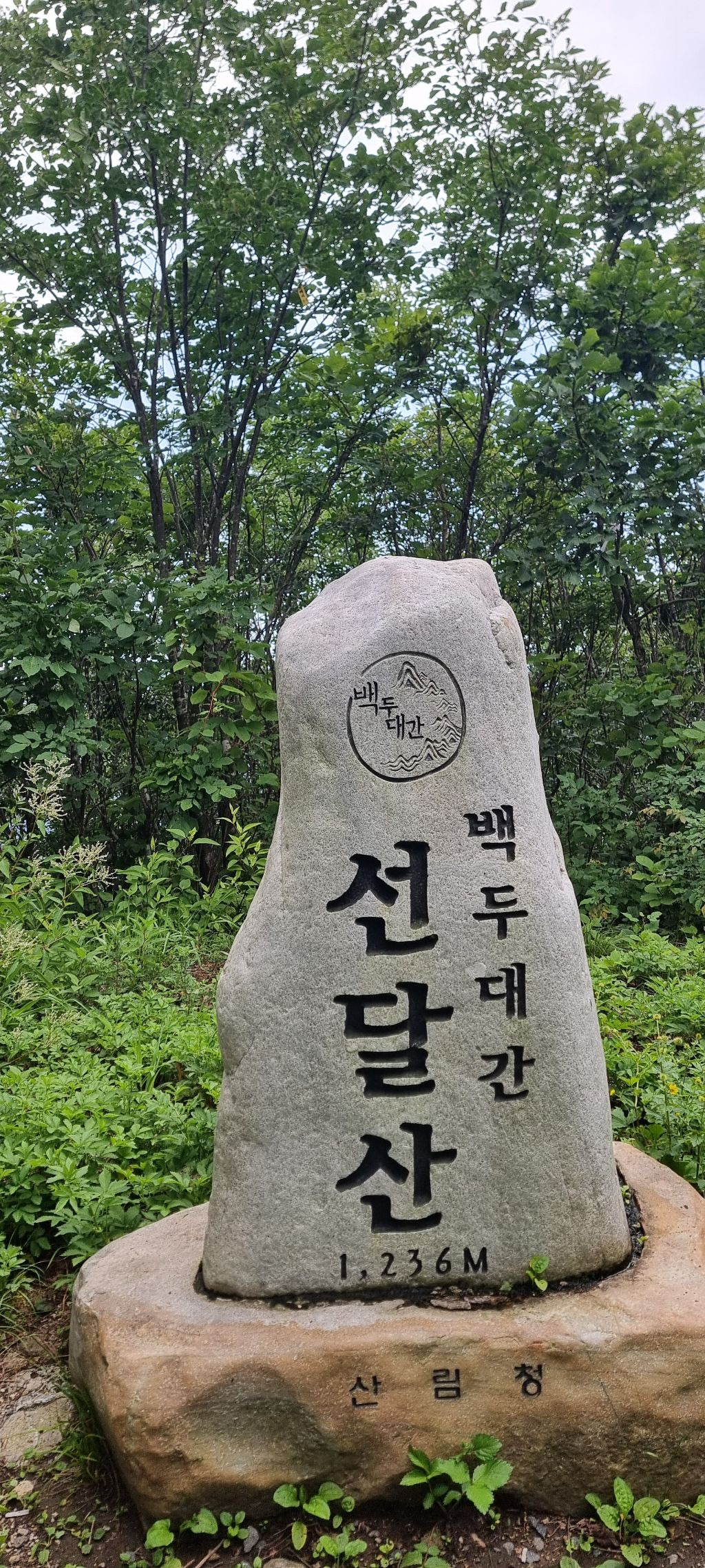 선달산캠핑장 이미지