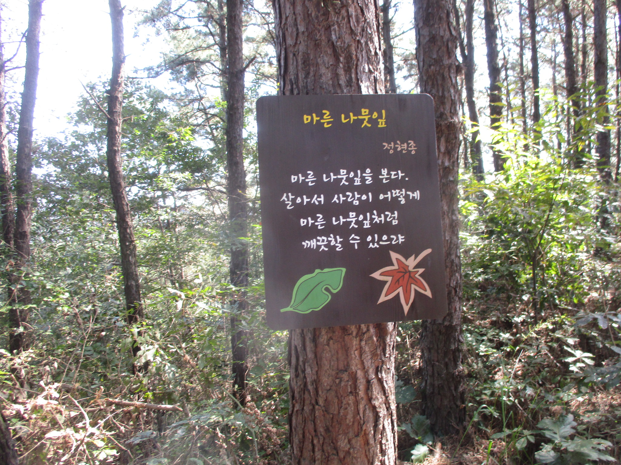호태산 이미지