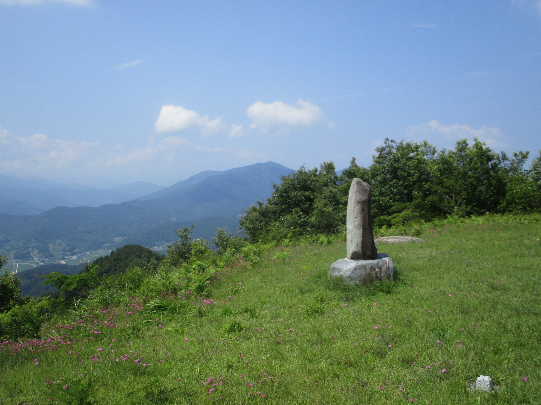 유림면 이미지