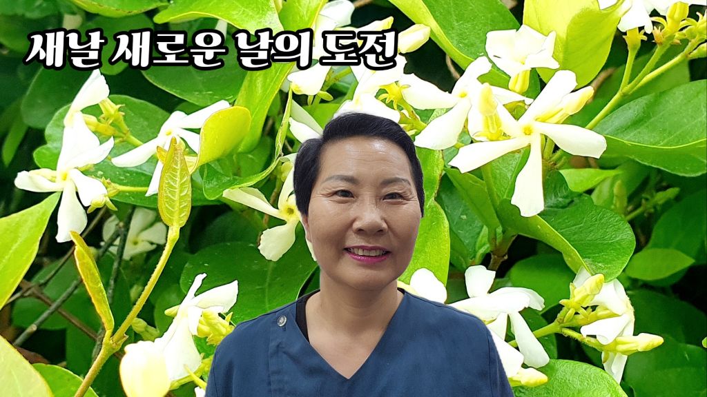 새날 이미지