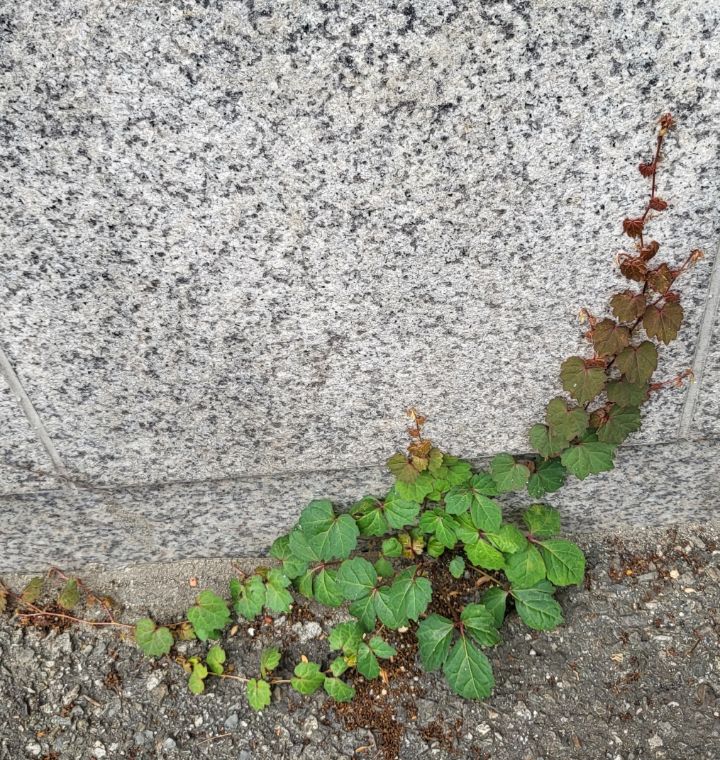 오늘선물 이미지