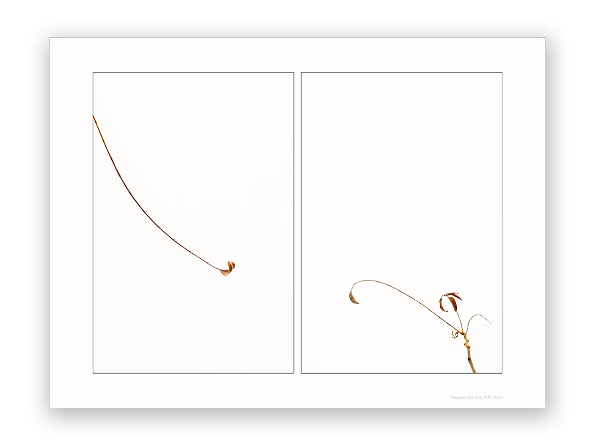 손짓 이미지