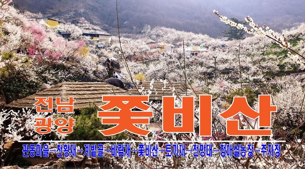 매화김밥 이미지