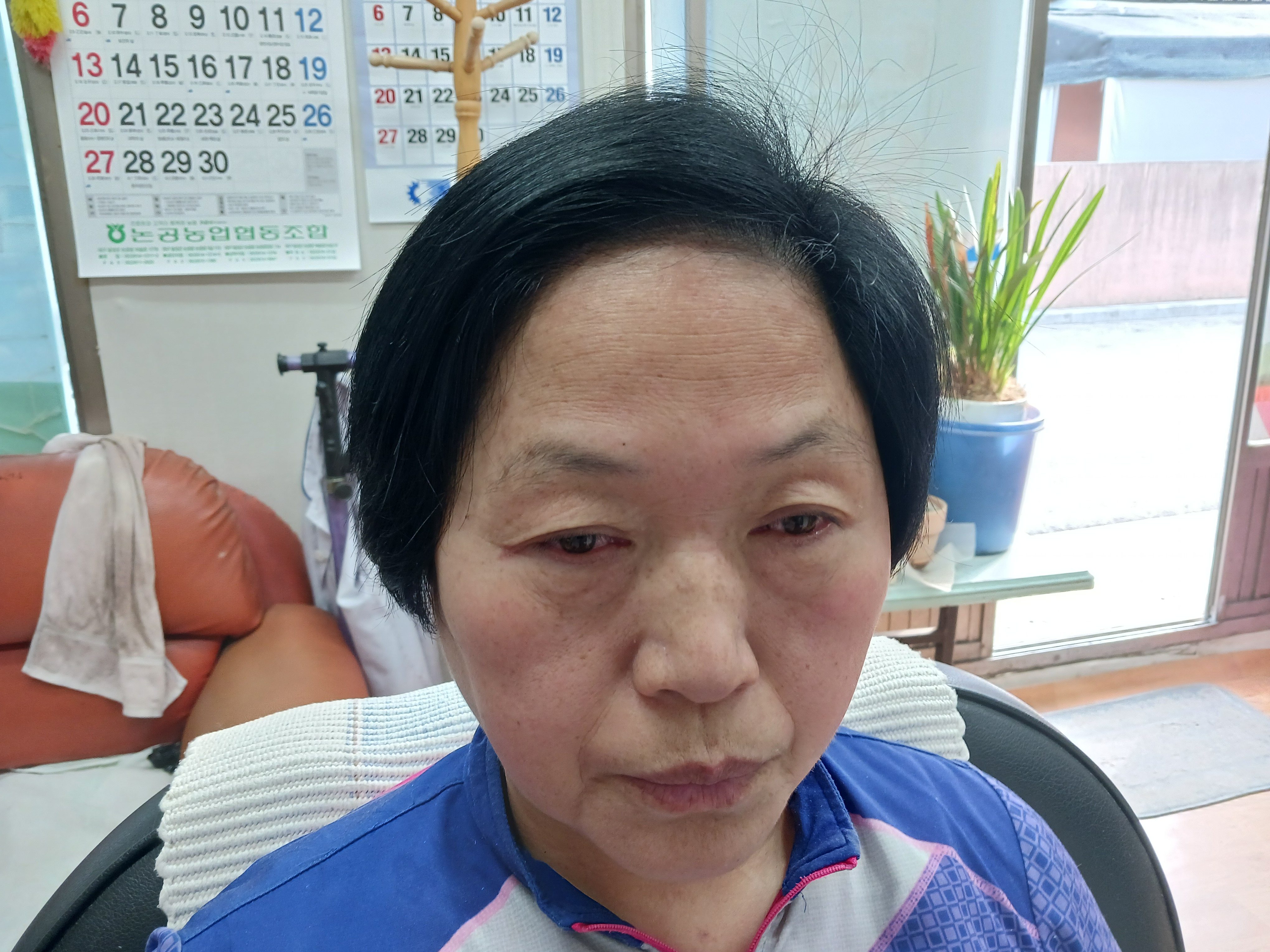 대성이용소 이미지