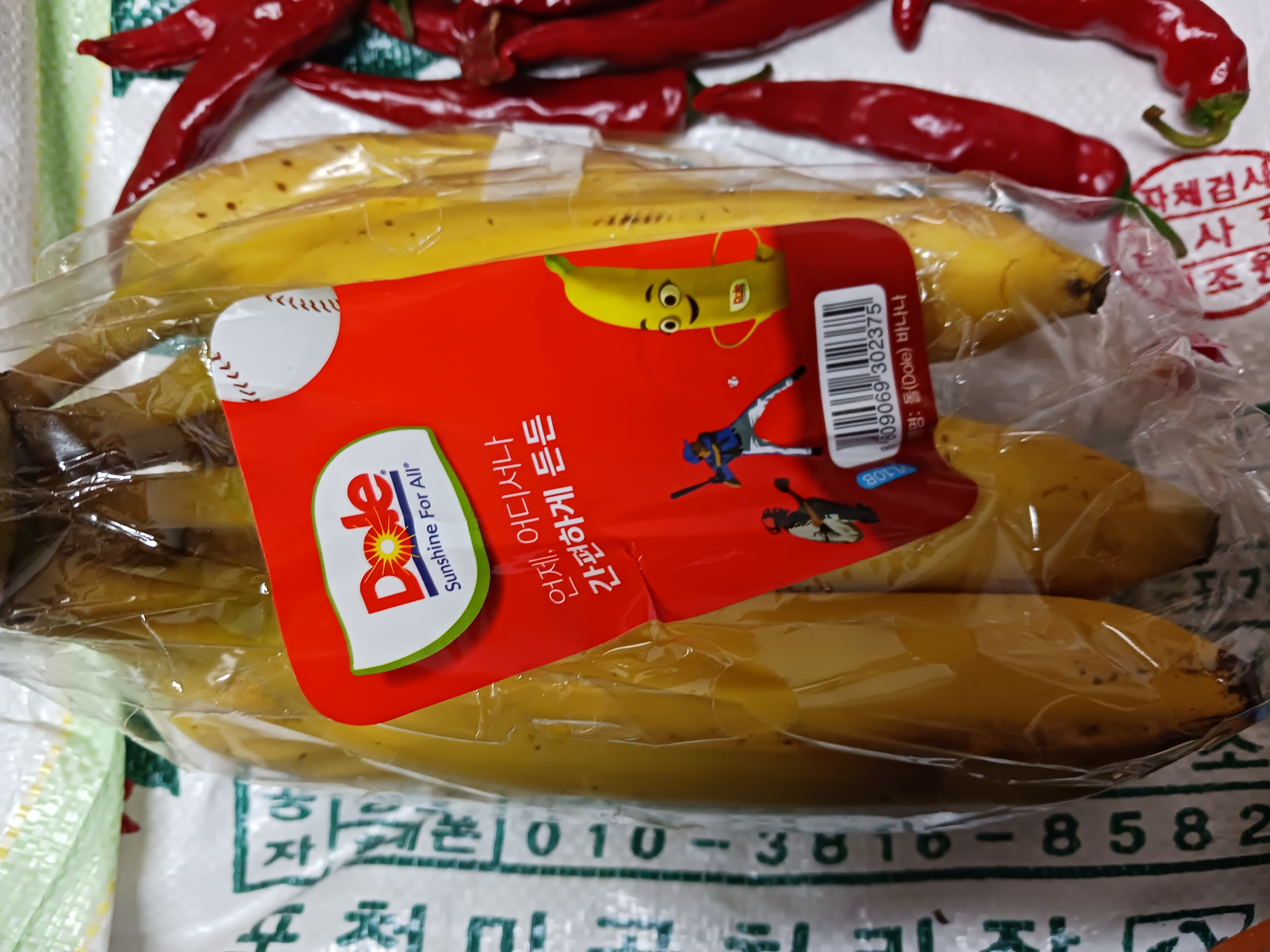 현대이용소 이미지