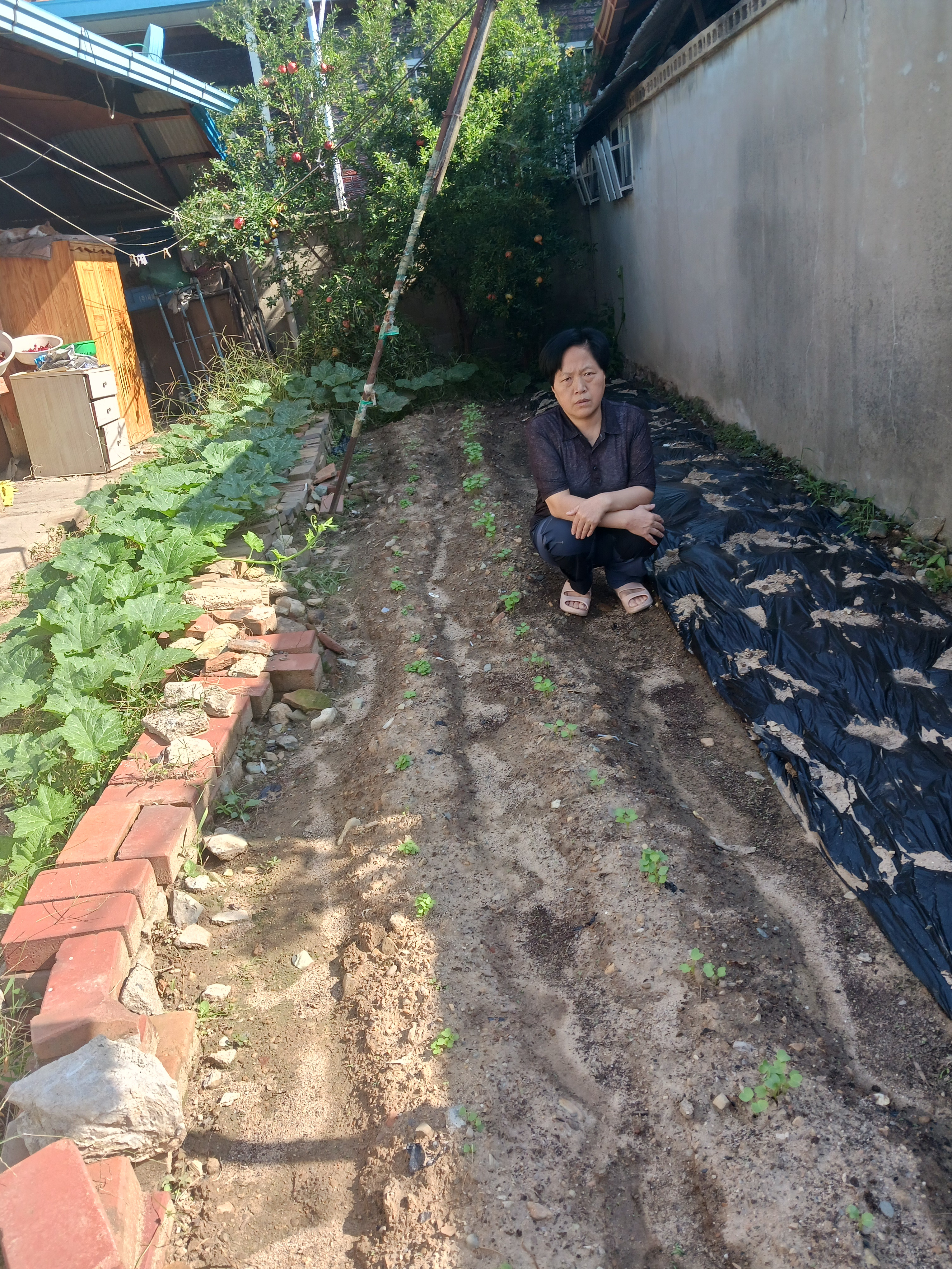 현대이용소 이미지