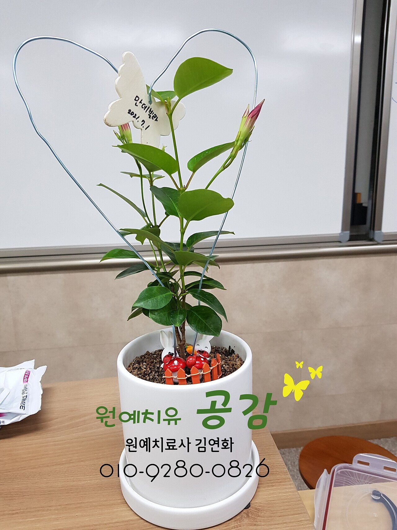 원예공감 이미지