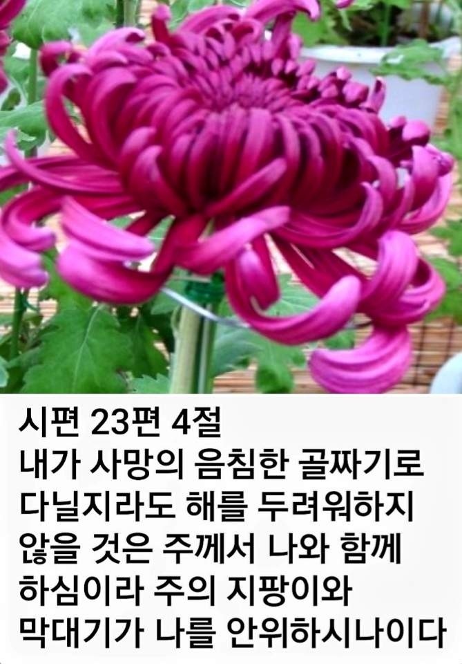 오늘더맑은날 이미지