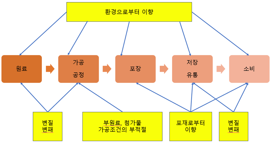 티에스비엠 이미지