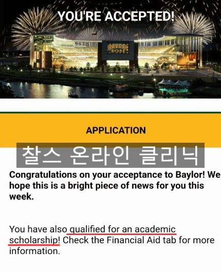 베일러(주) 이미지