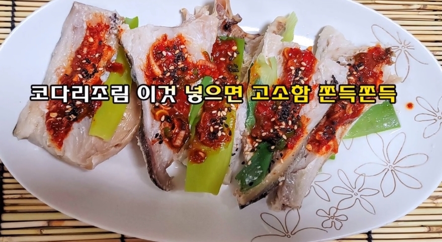 이것이코다리다 이미지