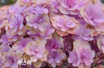 유앤미 이미지