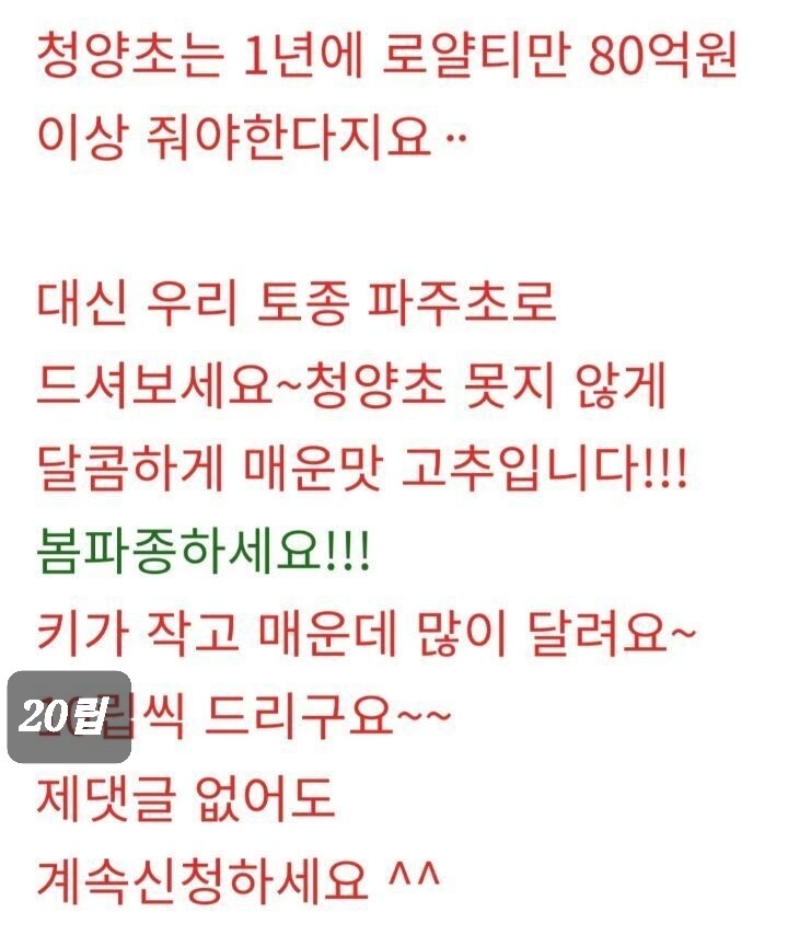 파주초등학교 이미지