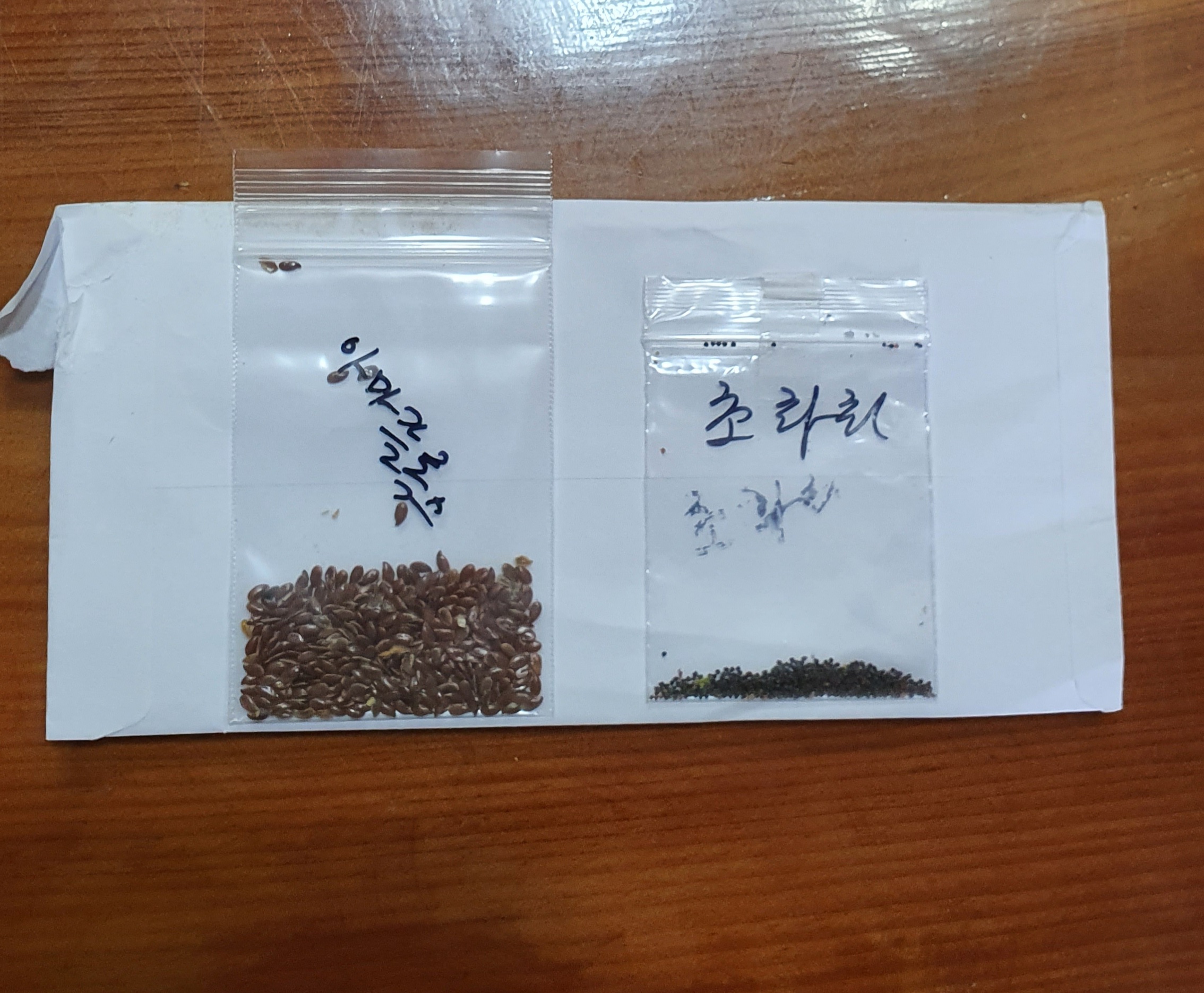 투리코 이미지