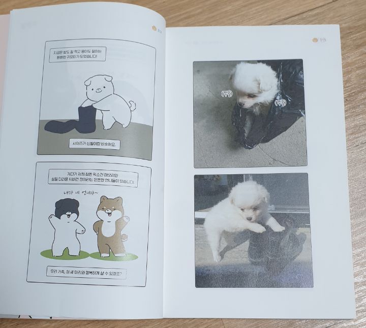 꼬미 이미지