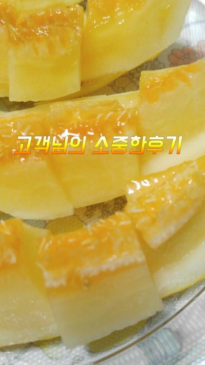 금향 이미지