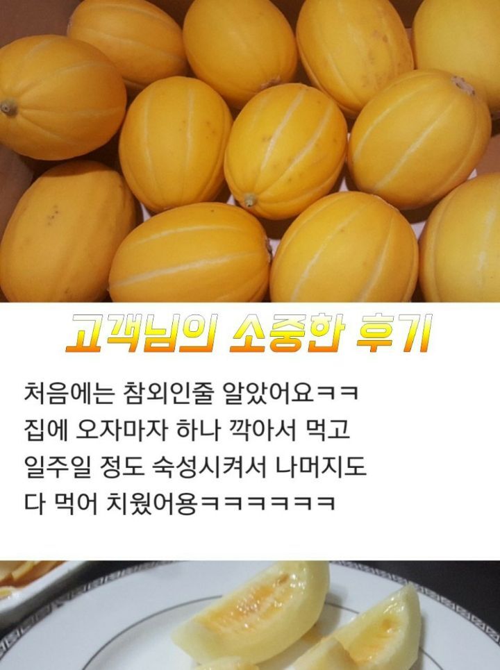 금향 이미지