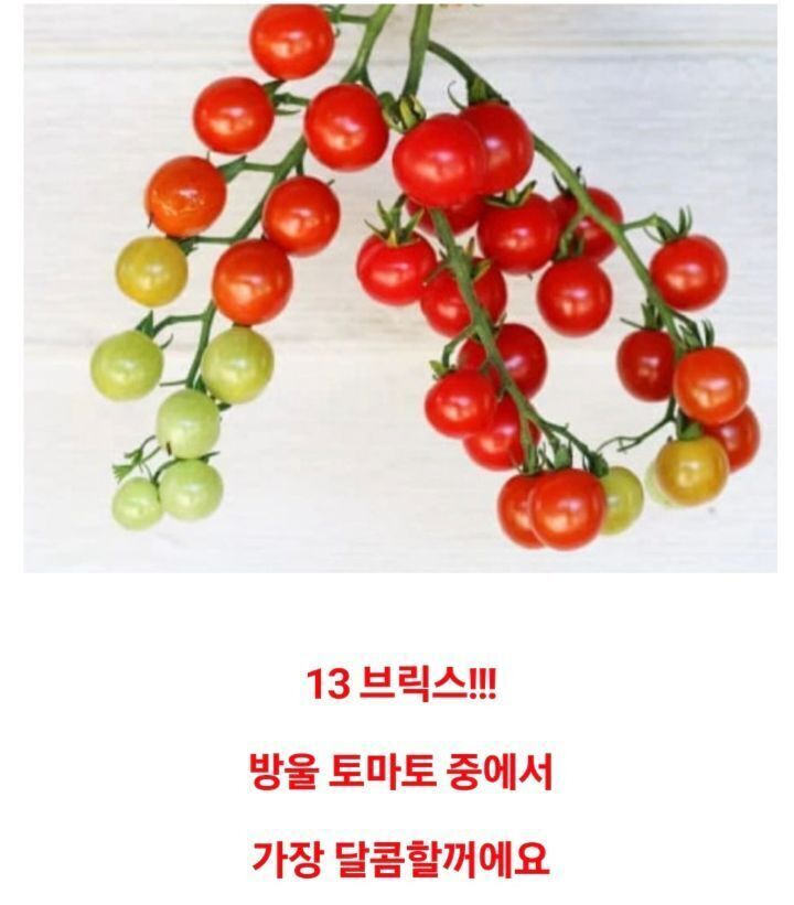 반주 이미지