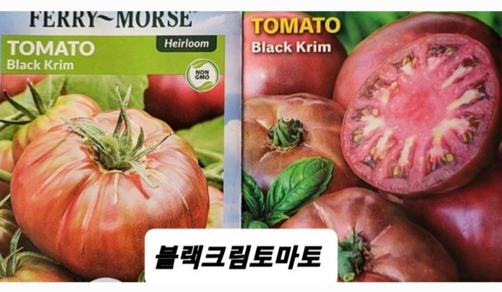 토예 이미지