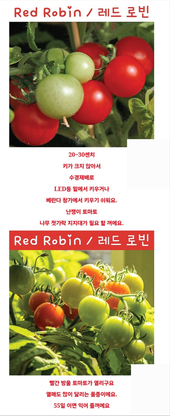 로빈 이미지