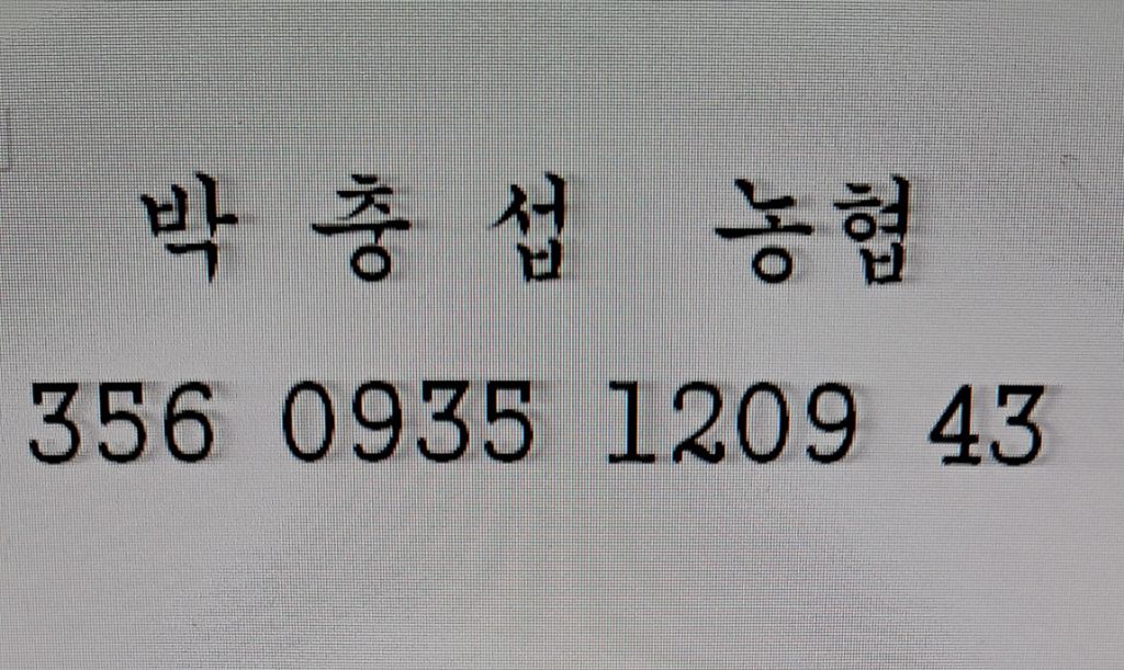 해바라기2 이미지