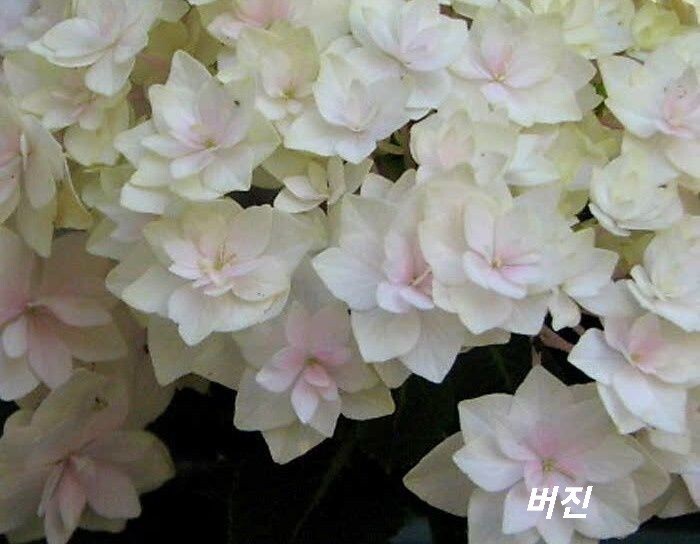 유앤미 이미지
