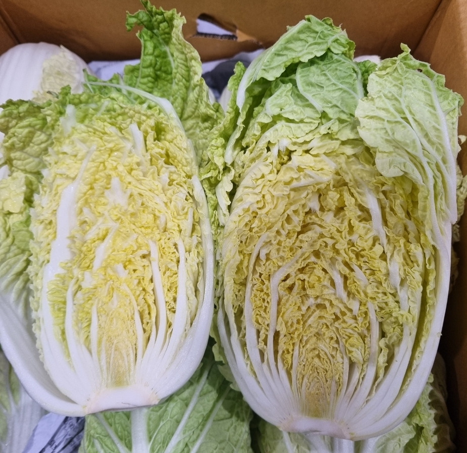 알배기 이미지