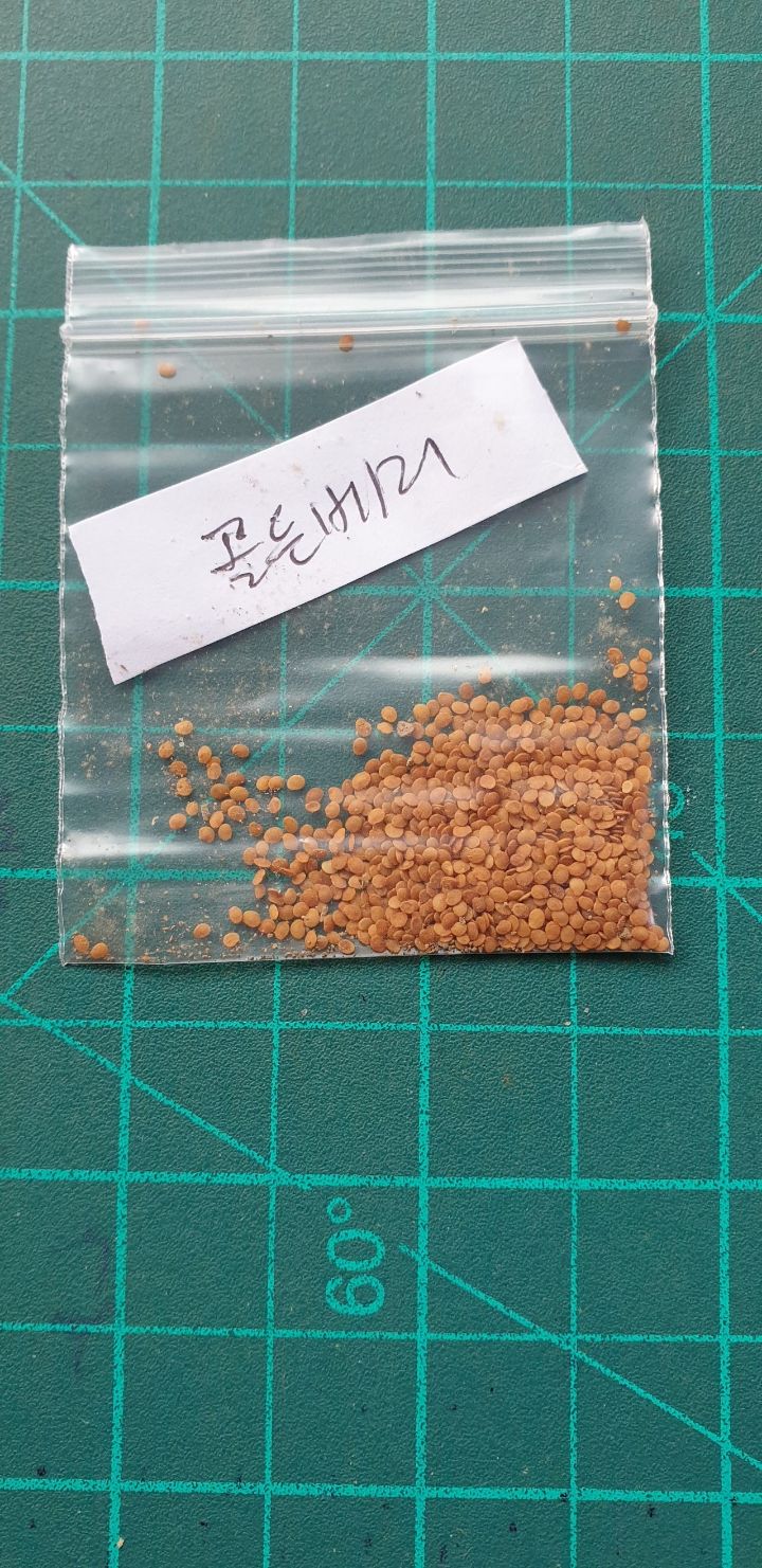 골든씨(주) 이미지