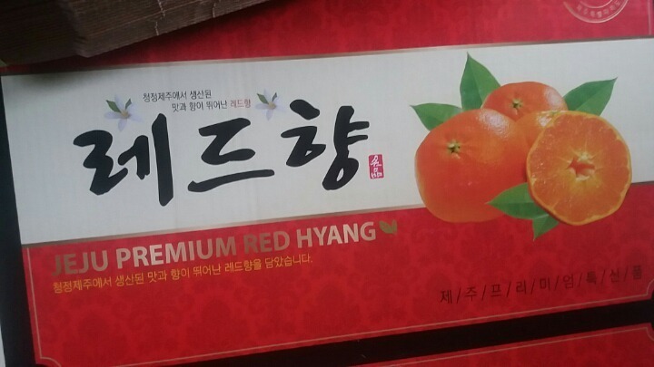 레드향 이미지