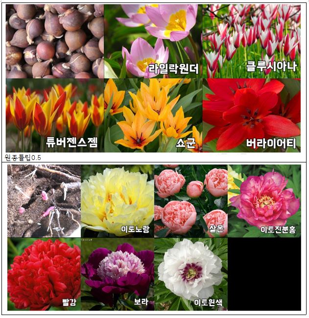 여주자연농원 이미지
