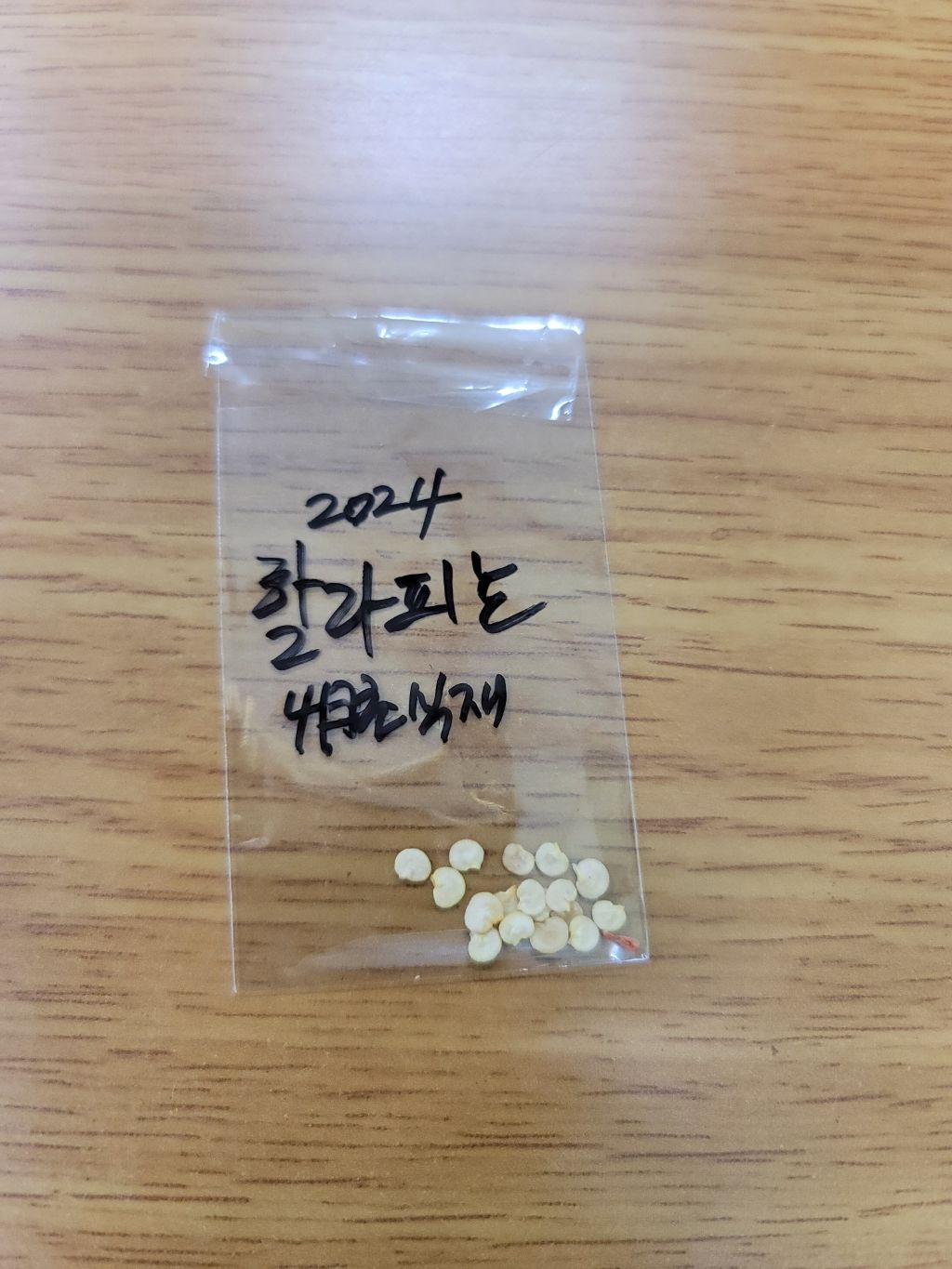 동산종묘 이미지