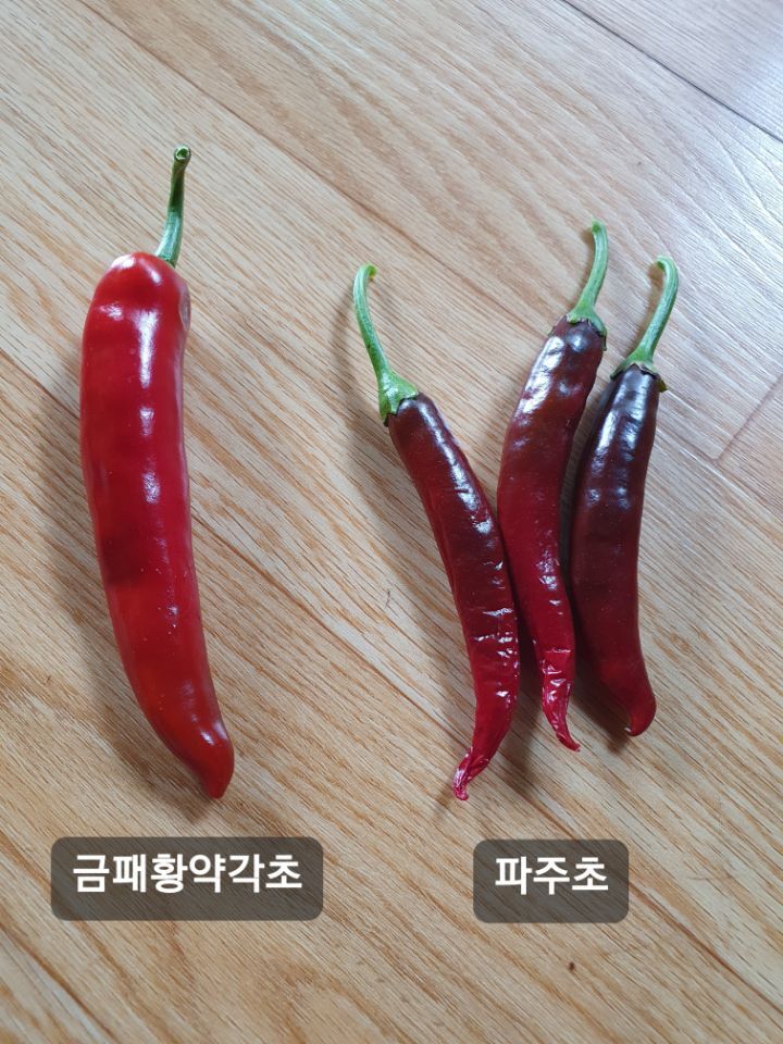 파주초등학교 이미지