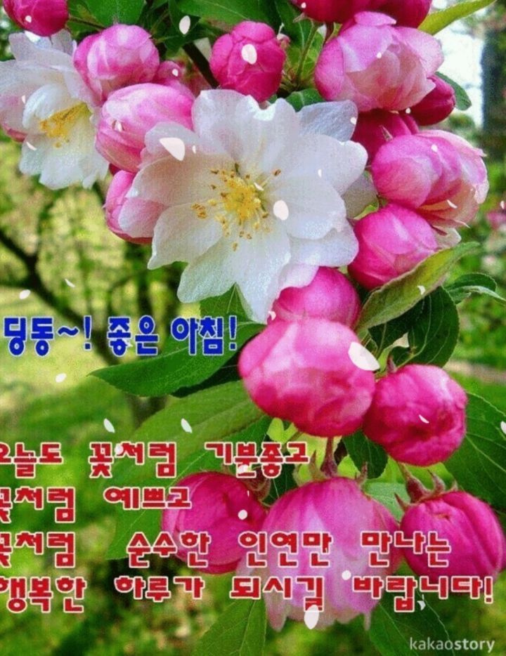 마음의꽃 이미지
