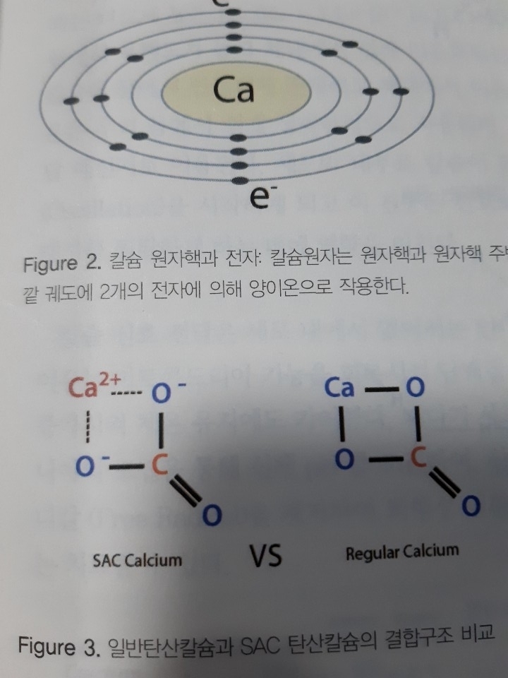 섹칼슘 이미지