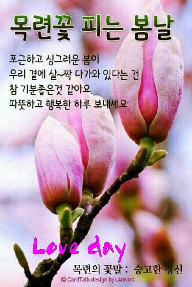 꽃피는봄날 이미지