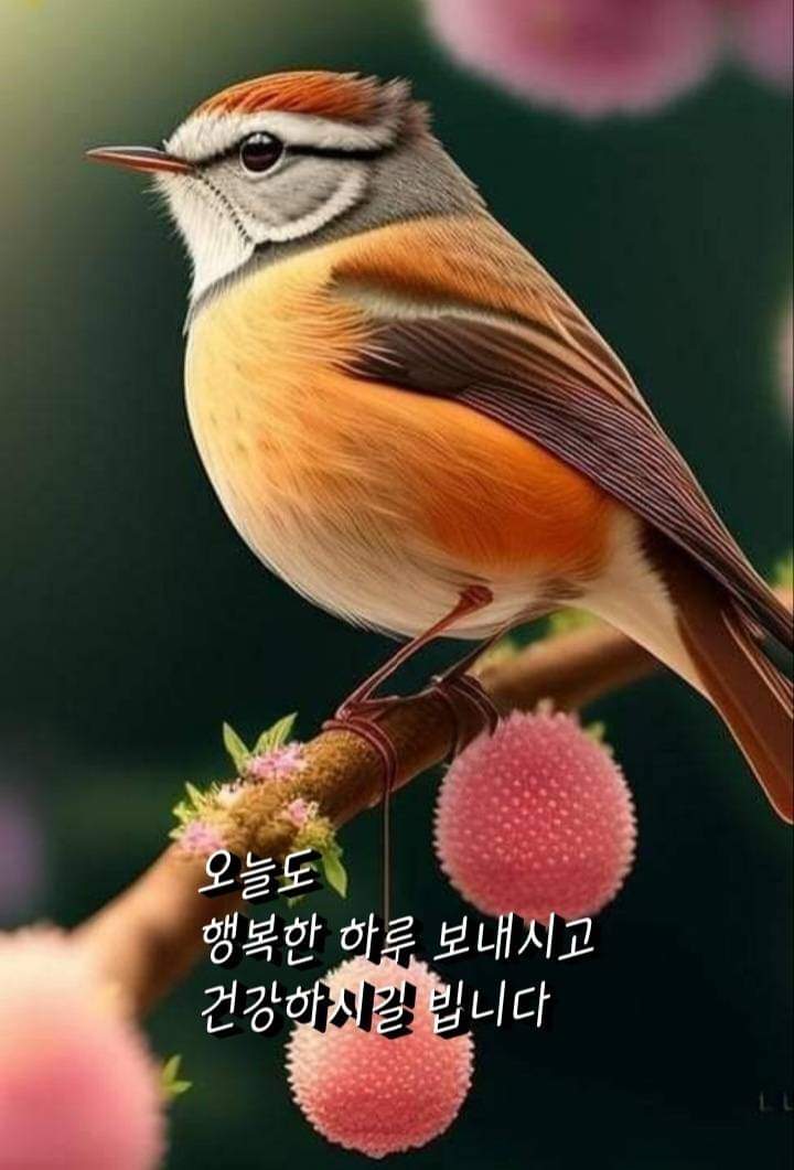 동행자 이미지