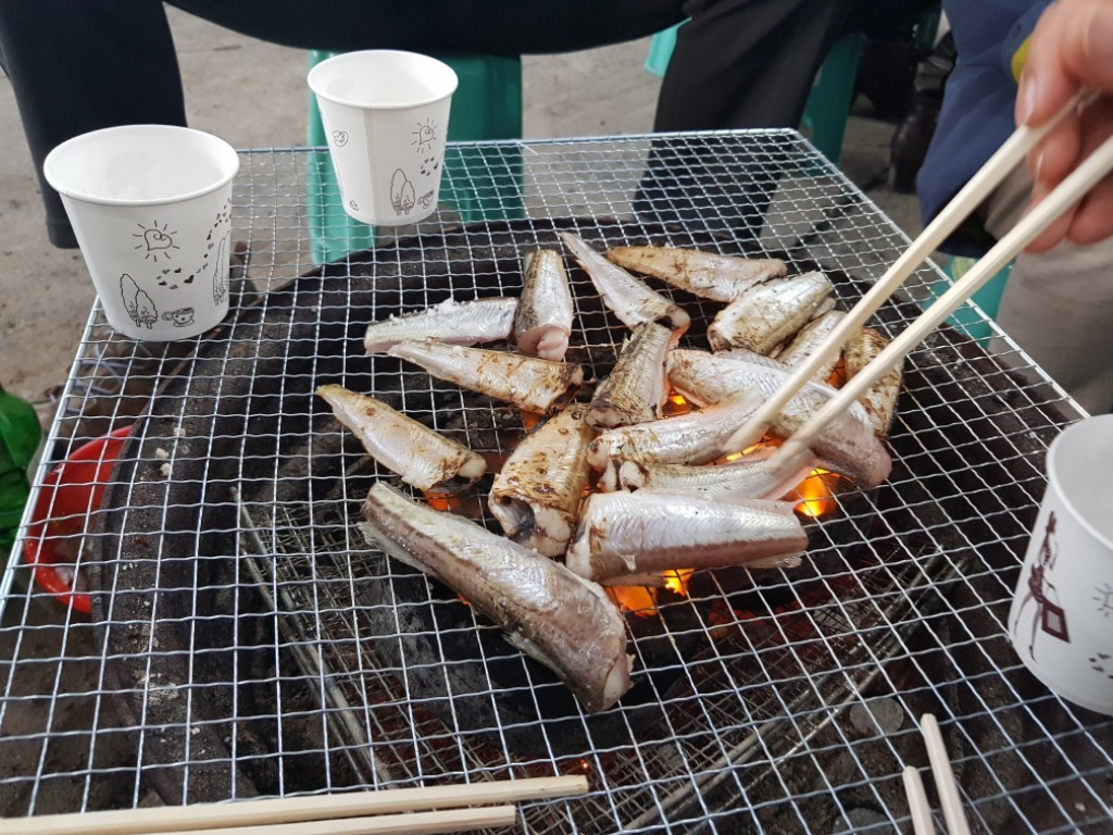 물치항도루묵 이미지