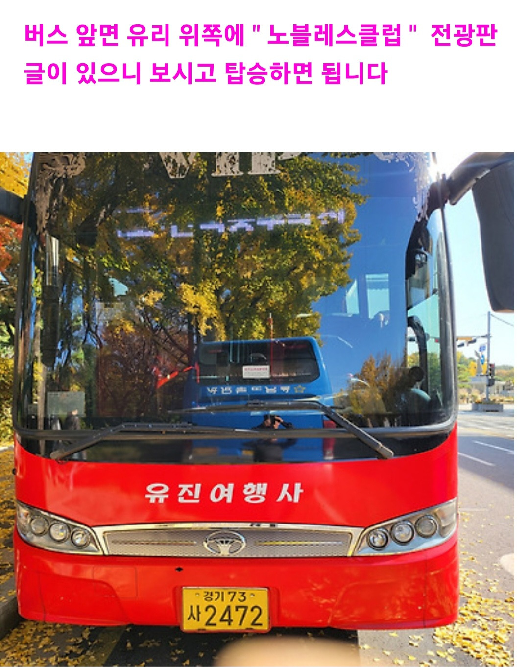 유진여행사 이미지