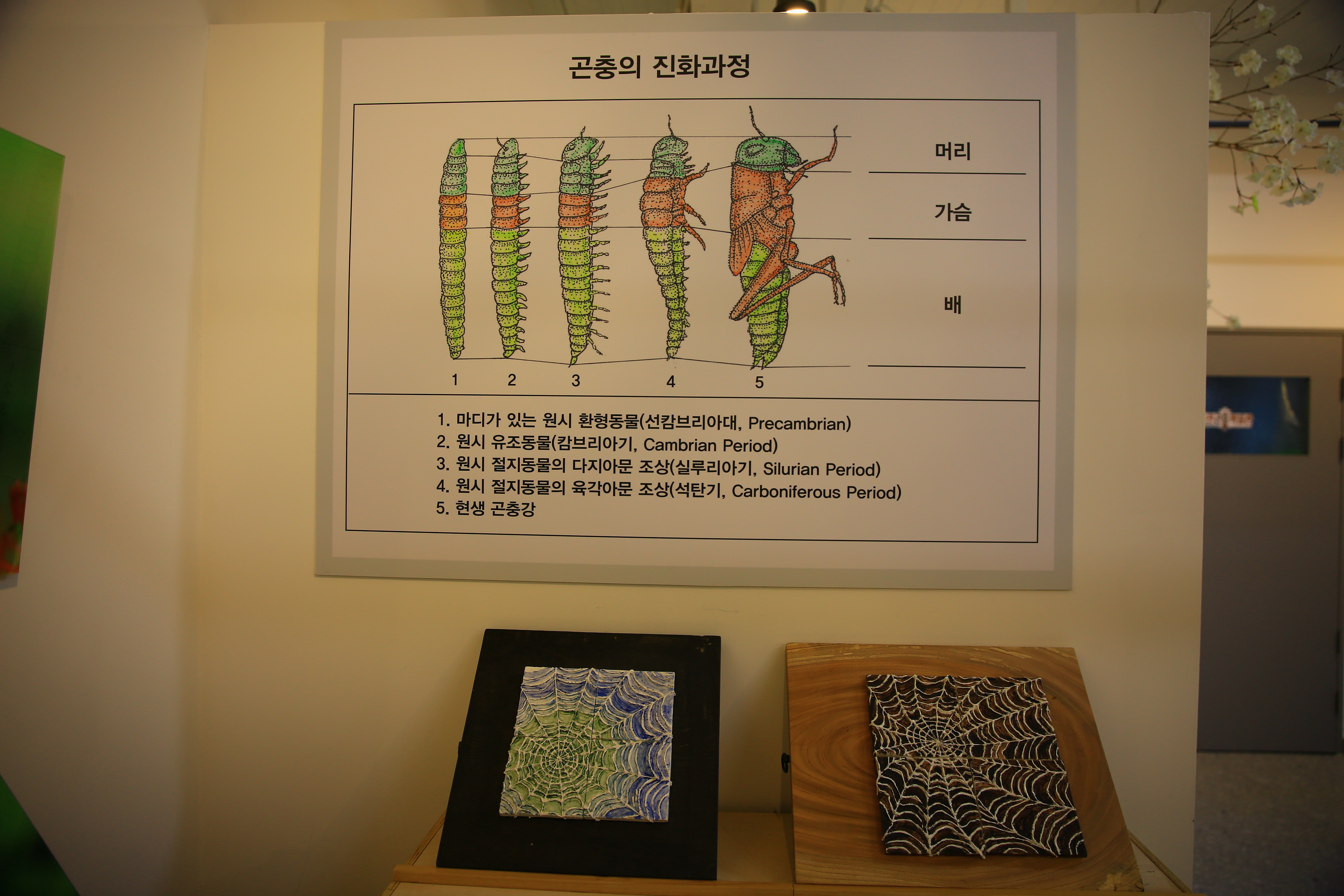 순천곤충박물관 이미지