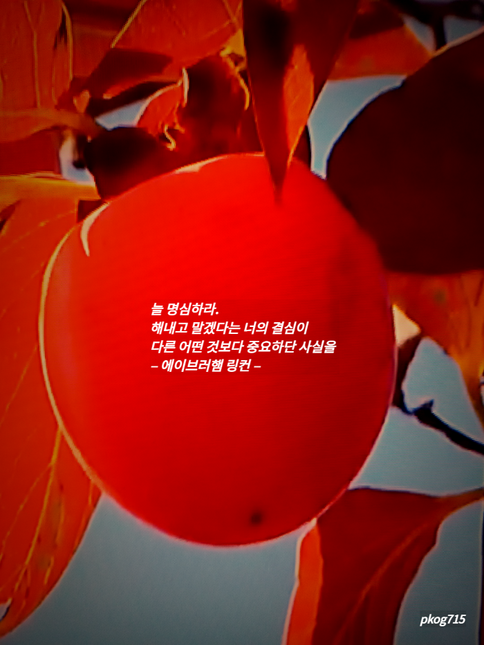 미래보는# 이미지
