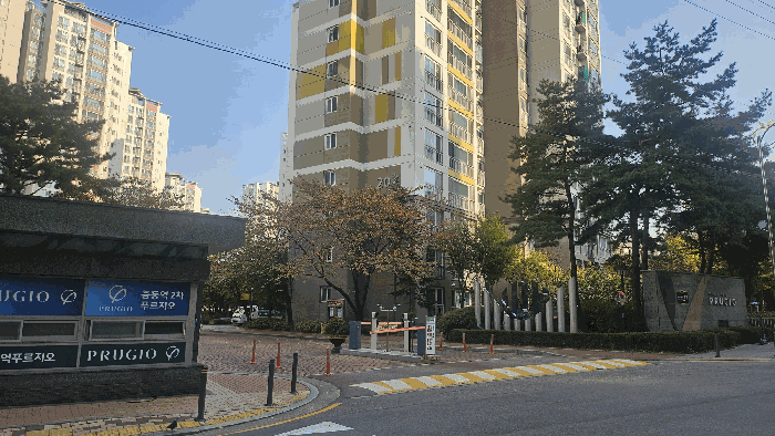 Daum카페