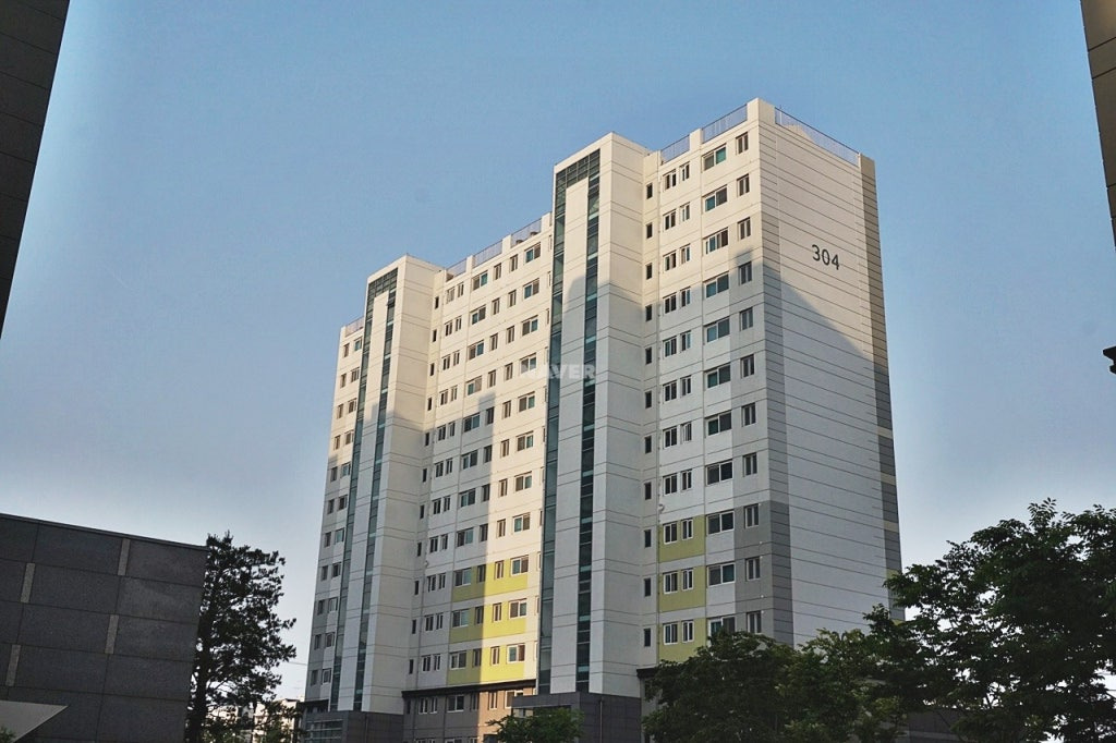 Daum카페