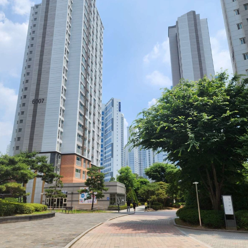 Daum카페