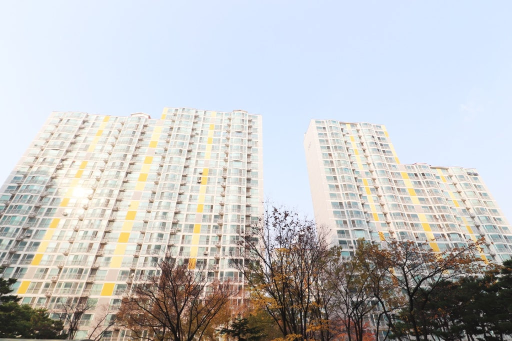 Daum카페