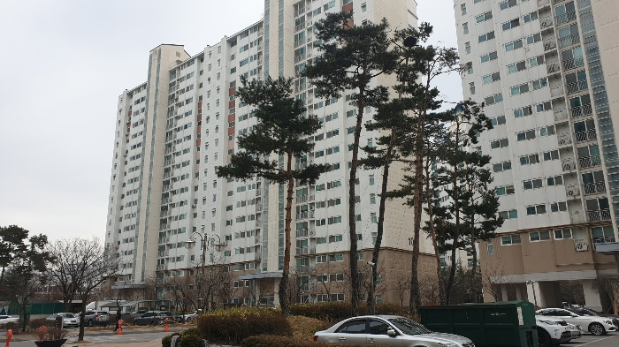Daum카페