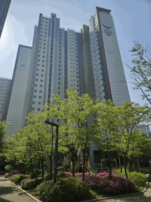 Daum카페