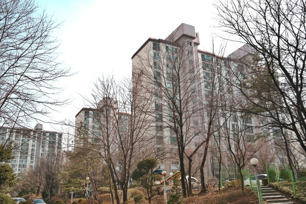 Daum카페