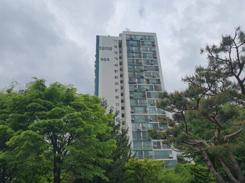Daum카페