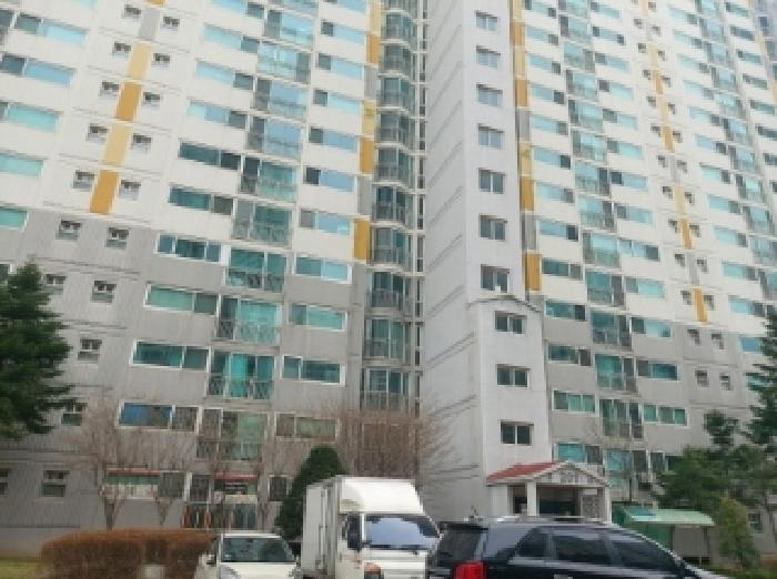Daum카페