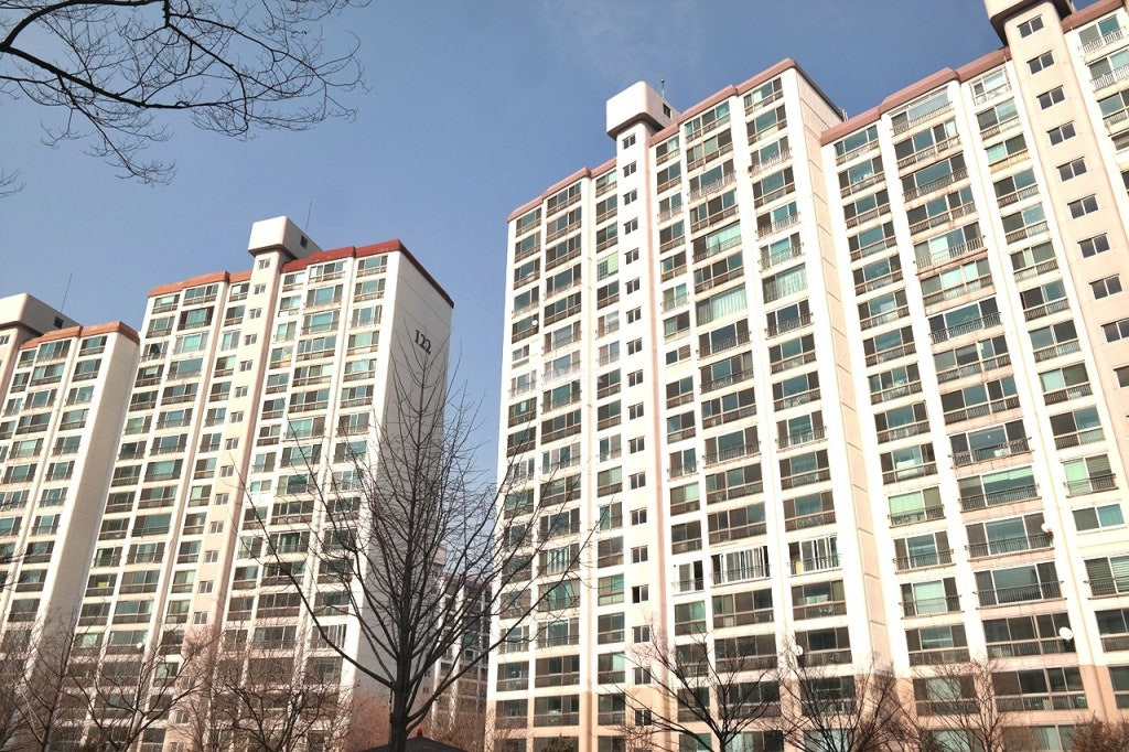 Daum카페